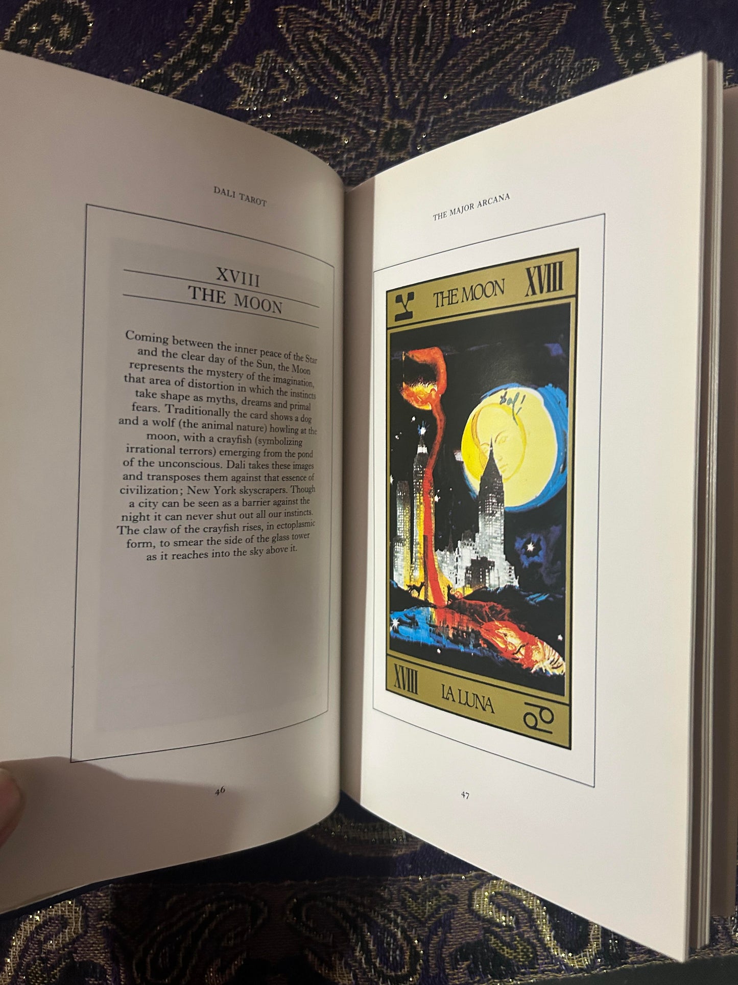 Salvador Dali's Tarot by Rachel Pollack (Book Only)