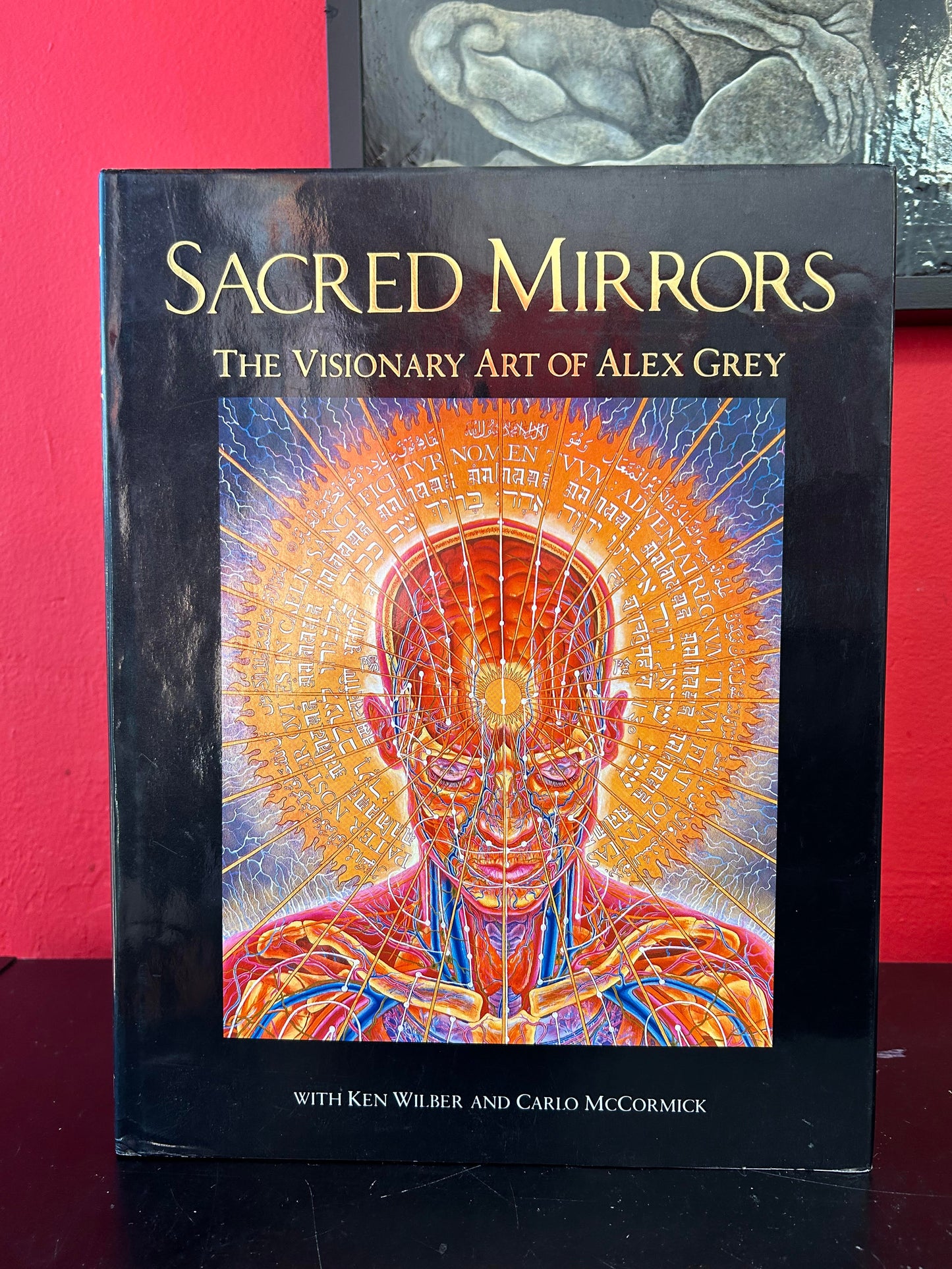 Sacred Mirrors: The Visionary Art of Alex Grey by Alex Grey