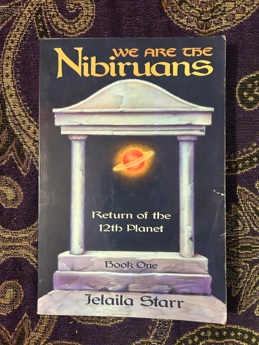 We Are the Nibiruans: Return of the 12 Planet Book 1